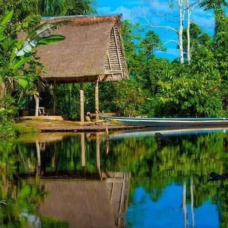 Misahualli Laguna Paikawe B&B Eksteriør bilde