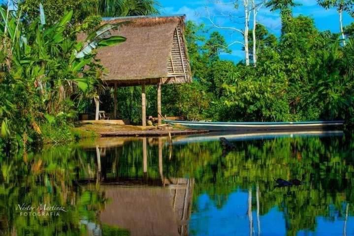 Misahualli Laguna Paikawe B&B Eksteriør bilde