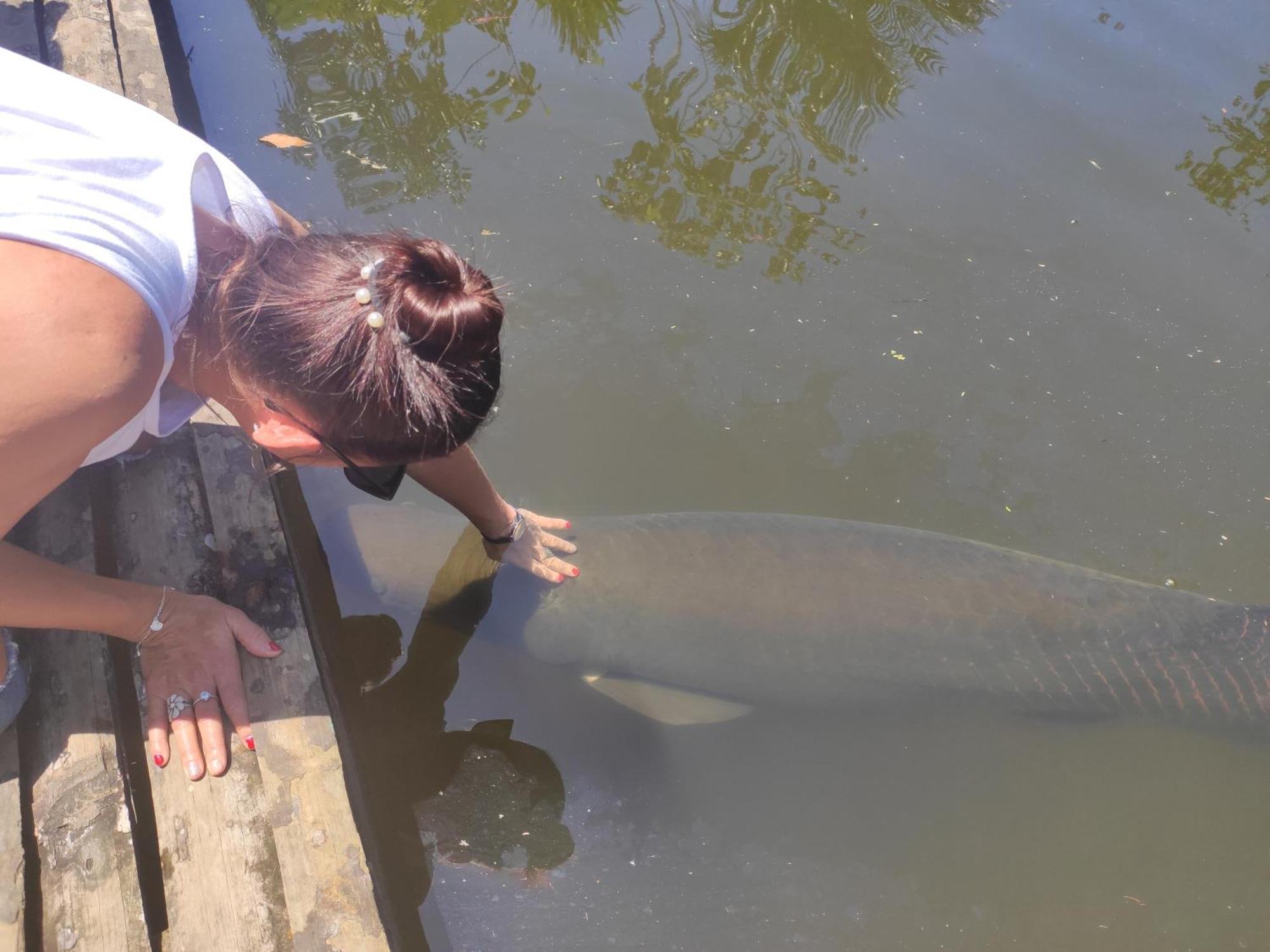 Misahualli Laguna Paikawe B&B Rom bilde