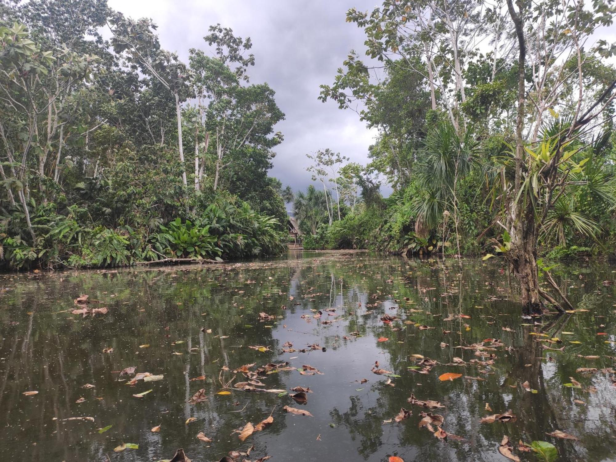Misahualli Laguna Paikawe B&B Rom bilde